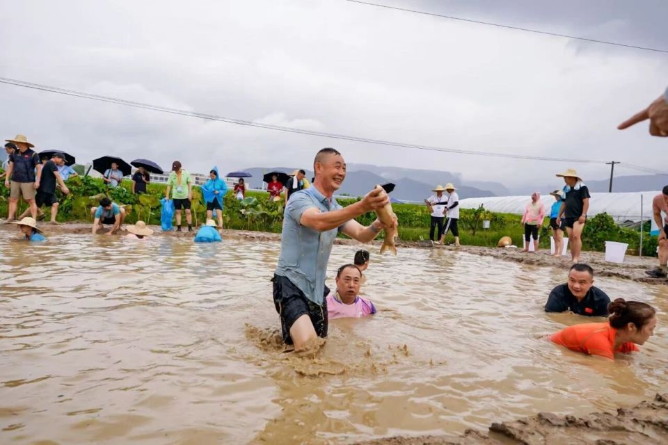 真正实现, font, 及浙江省各